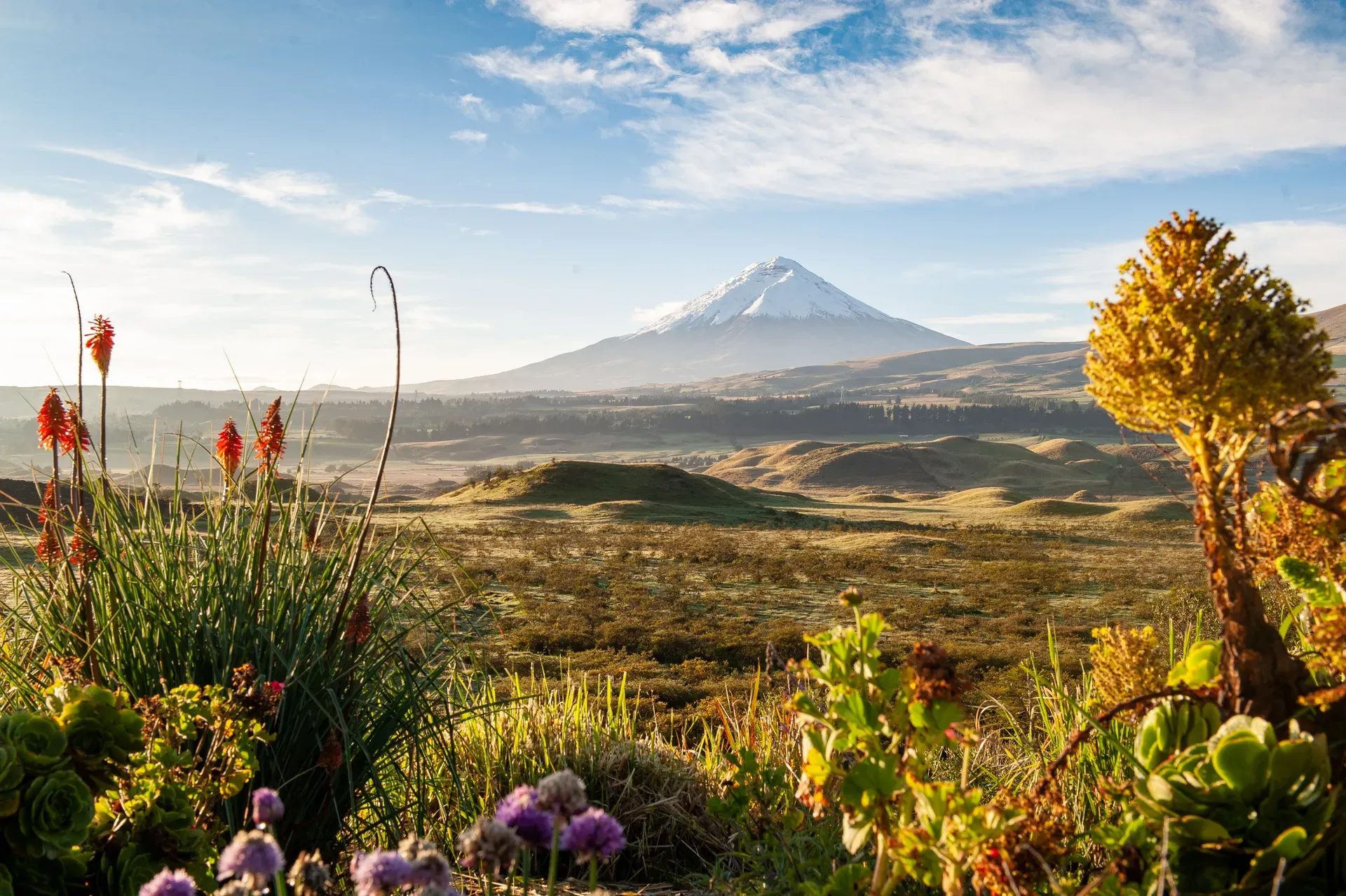 Cotopaxi