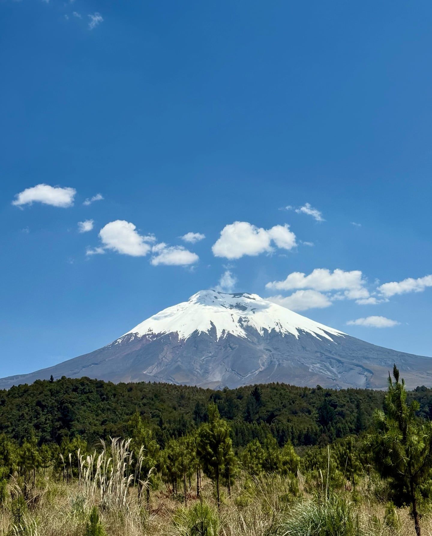 Vista di Cotopaxi