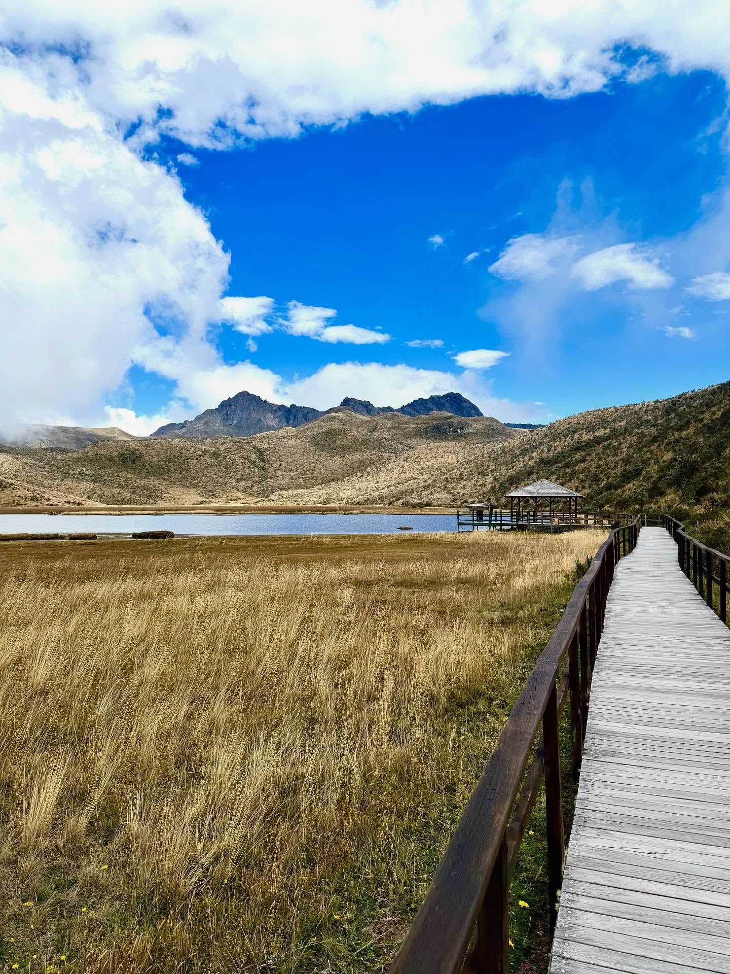 Vista di Cotopaxi
